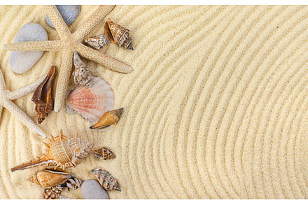 Background with seashells on the, a Holiday Photo by yanadjana