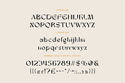 Argelha Modern Sans, a Sans Serif Font by Cruzine (Thumbnail 6 of 9)