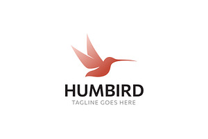 Hummingbird vector logo for business
