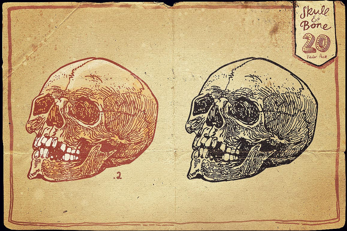 Vintage Skull and Bone Vector pack, an Illustration by Itsmesimon (Photo 3 of 11)