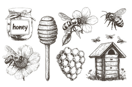 honey engraving set. jar honeycomb, a Food Illustration by Stock-Smart-Start