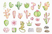 Watercolor Cactus Clipart, an Object Graphic by SvetaArtStore (Thumbnail 3 of 6)