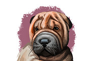 Puppies Dog Breeds Big Bundle 135Pcs, an Animal Illustration by Dneprstock (Thumbnail 42 of 68)