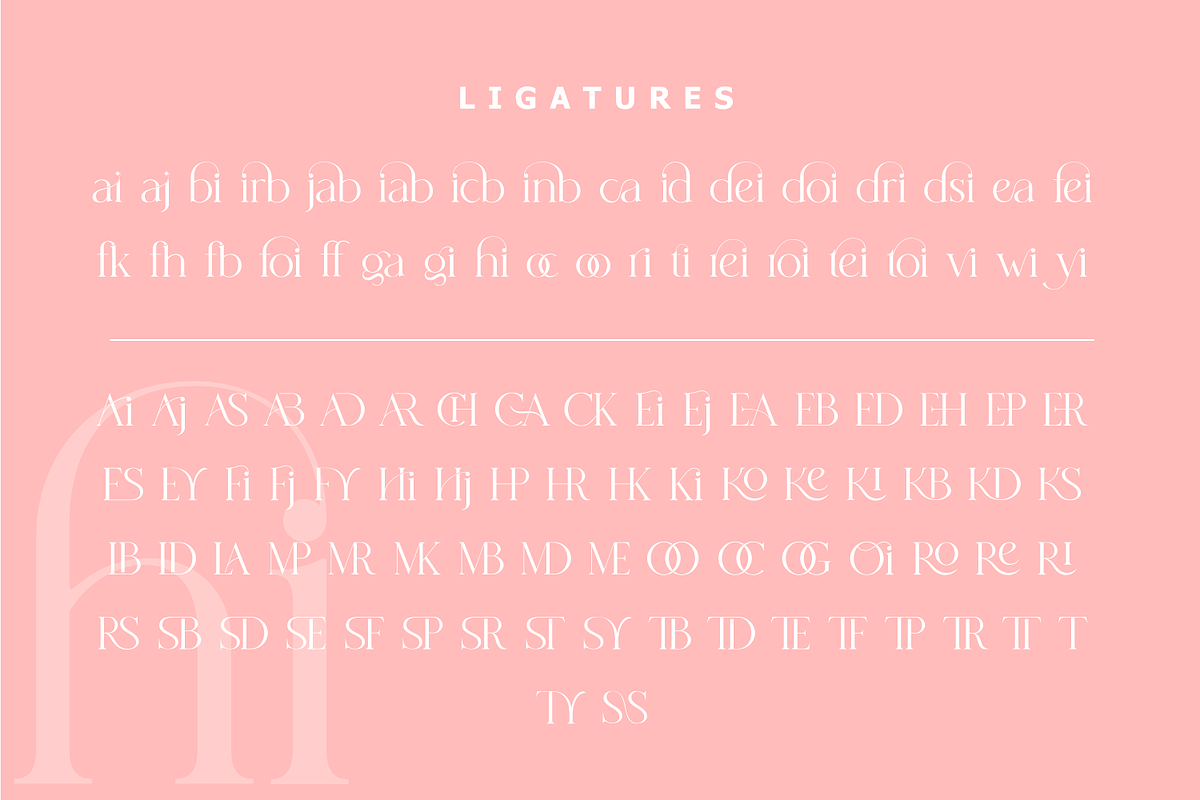Histeagin Serif, a Serif Font by Yahya Type (Photo 23 of 25)