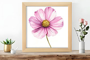 Pastel Watercolor Flower Clipart, an Illustration by DreamCafeArt (Thumbnail 6 of 8)