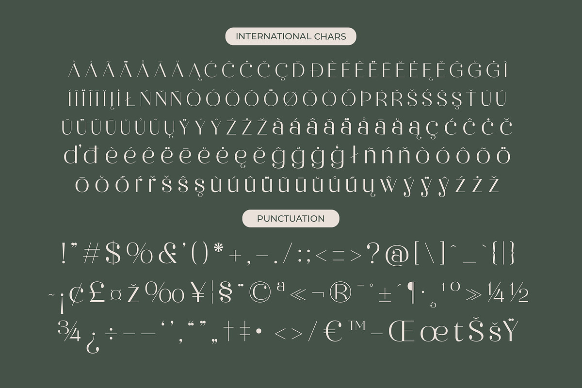 Raslera Modern Serif Display, a Sans Serif Font by timelesstype.co (Photo 19 of 20)