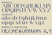 Resilient Shifting - Elegant Font, a Serif Font by 177Studio (Thumbnail 7 of 8)
