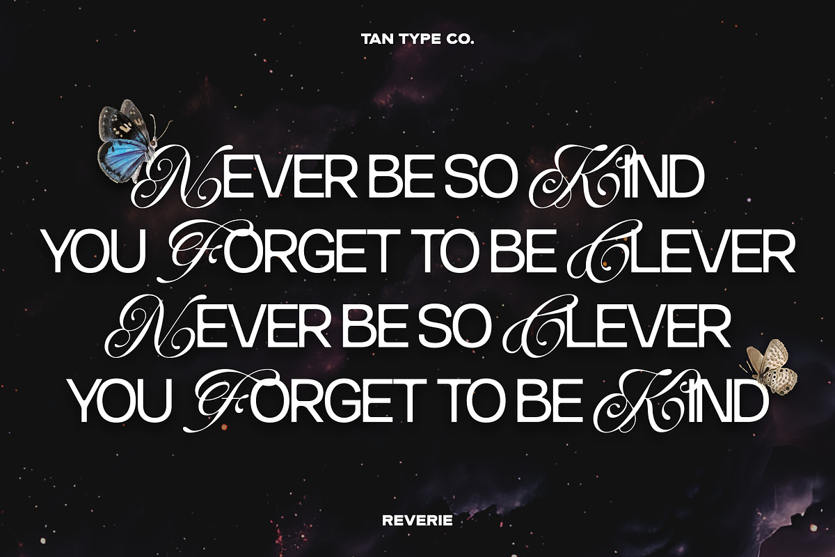 TAN-THE REVERIE, a Sans Serif Font by TanType (Photo 7 of 11)