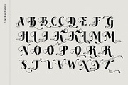 Kathy Style - Elegant Beauty Serif, a Serif Font by creativemedialab (Thumbnail 8 of 17)