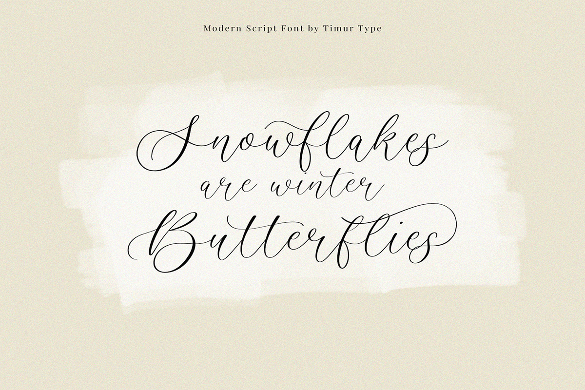 Baileyone - Stylish Script Font, a Script Font by Timurtype (Photo 2 of 7)