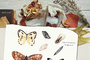 Endless summer. Watercolor set, an Illustration by Scarlet Heath Art (Thumbnail 13 of 18)