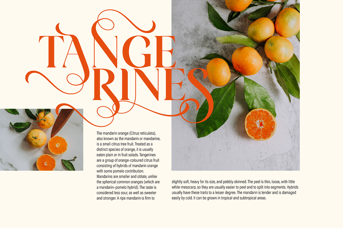 Arienne - Serif Typeface, a Serif Font by Genilson Santos (Photo 7 of 14)