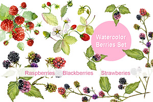 Berries watercolor Clip art