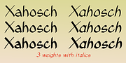 Xahosch, a Handwritten Font by Ingrimayne Type (Thumbnail 3 of 9)