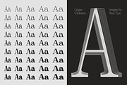 Calgine Serif, a Serif Font by MasaType (Thumbnail 11 of 12)