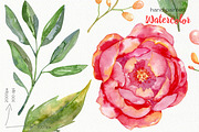 Watercolor Flowers Bundle, an Illustration by OllyKo Art (Thumbnail 12 of 15)