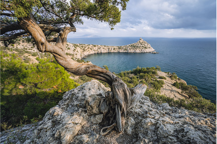 Mountains and sea are on background, a Nature Photo by Igor Tichonow