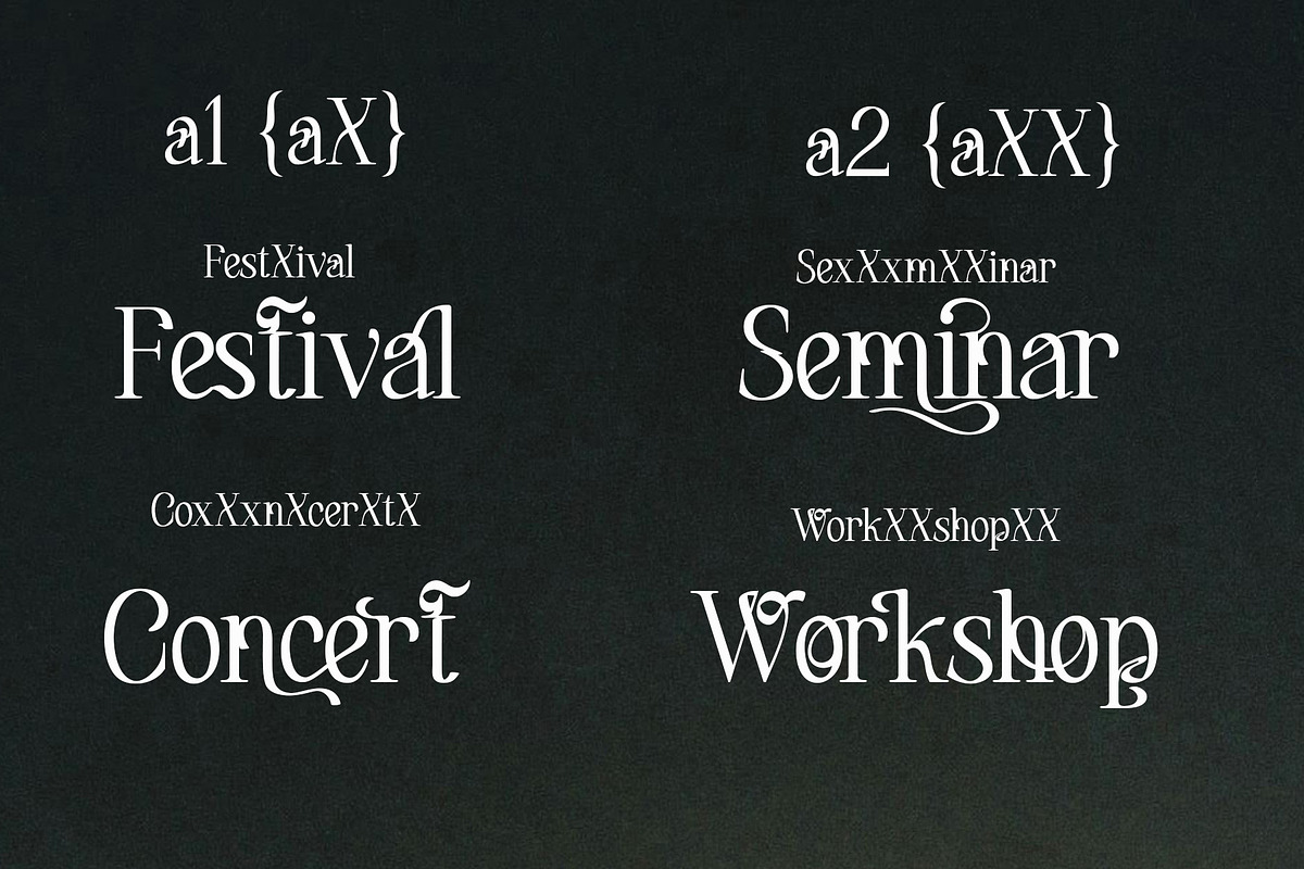 Maerulin – Serif Font, a Serif Font by NDNL Studio (Photo 9 of 13)