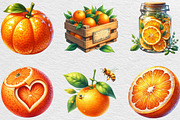 Watercolor Oranges Clipart, an Illustration by Black Bird Studio (Thumbnail 3 of 6)