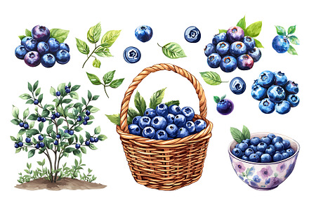 Blueberries set. In the bowl bush of, a Food Illustration by Valerie Bodnar