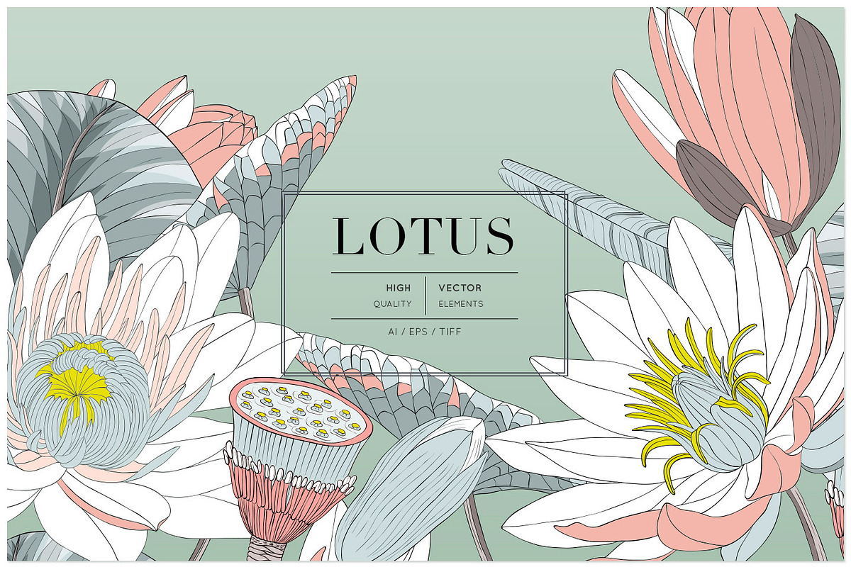 Lotus Vector Pattern & More!, a Wallpaper Graphic by Pink Linen (Photo 1 of 15)