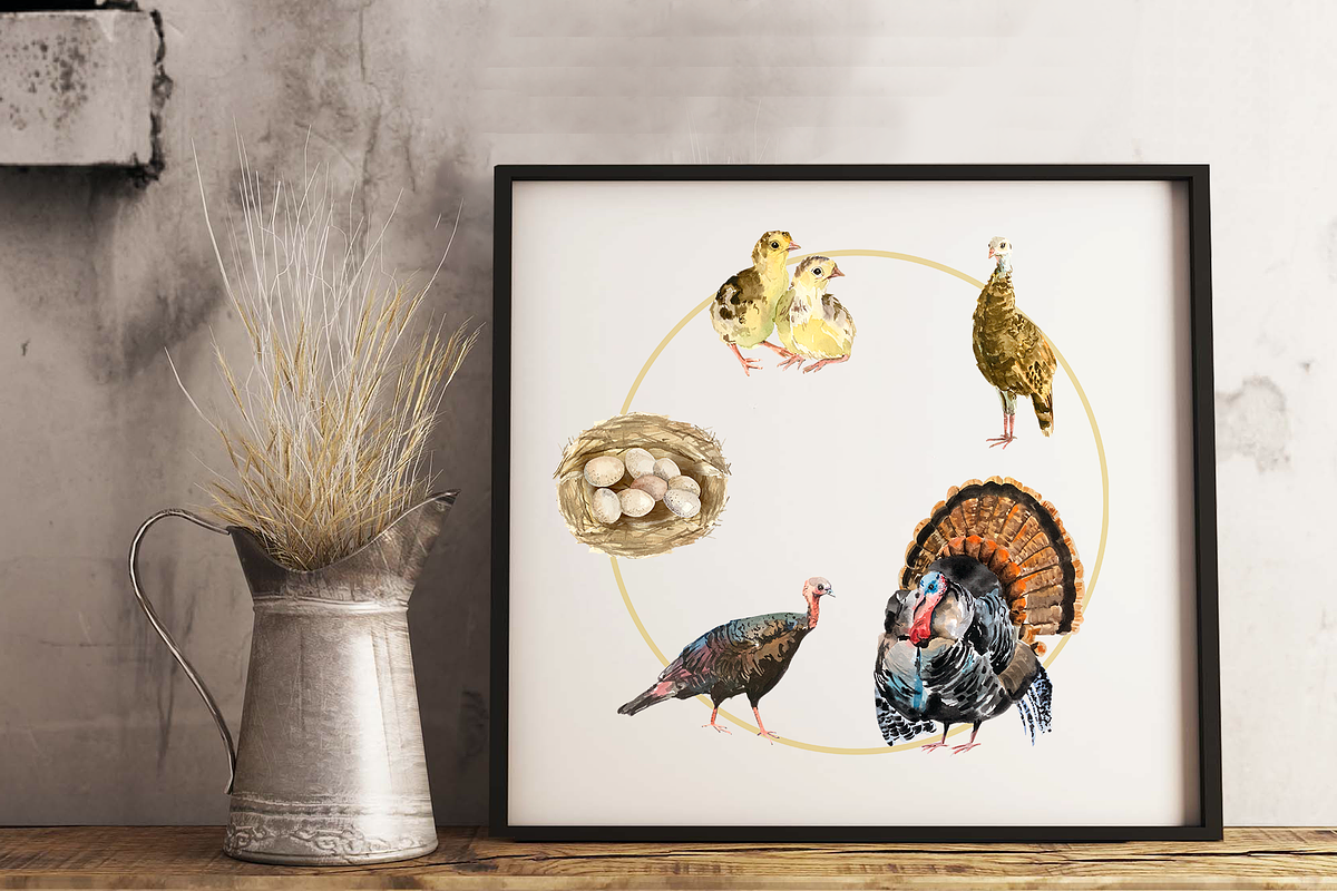 Turkey Life Cycle Clip Arts & Poster, an Illustration by Tati Bordiu (Photo 2 of 4)