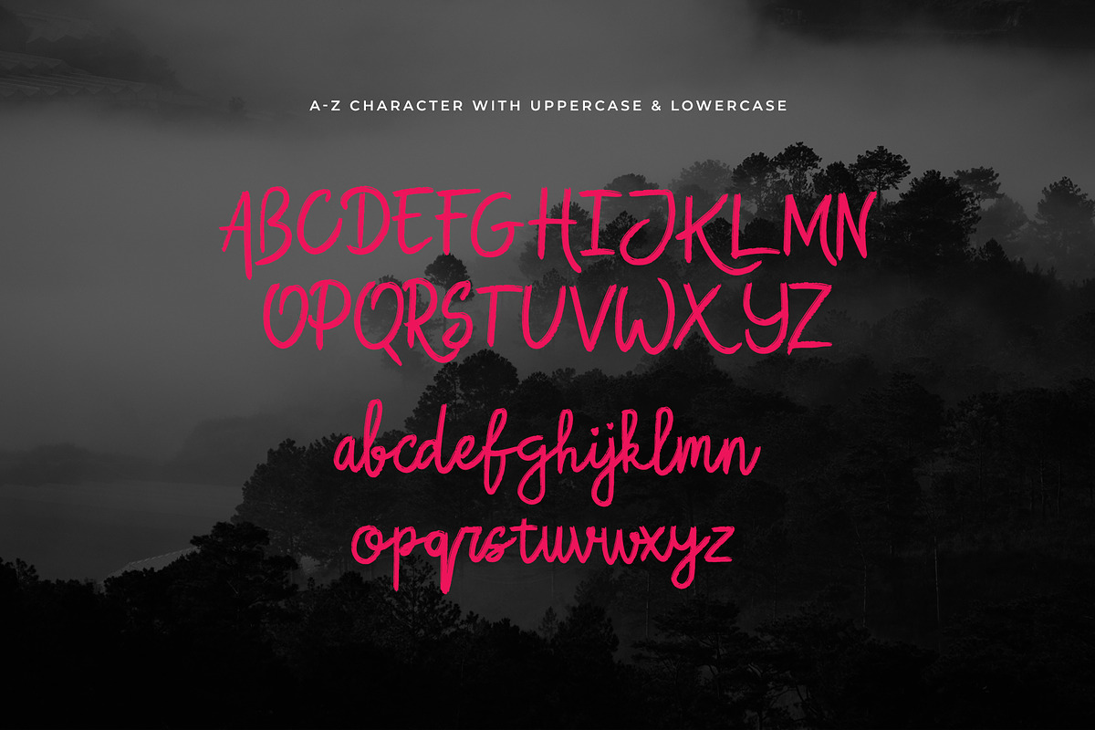 Buchero Brush Script Font, a Script Font by Dawnside Graphic (Photo 3 of 13)