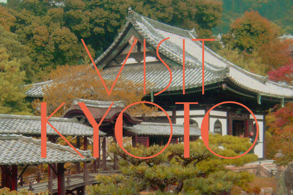 Yasashii, a Sans Serif Font by Dharma Type (Photo 2 of 6)
