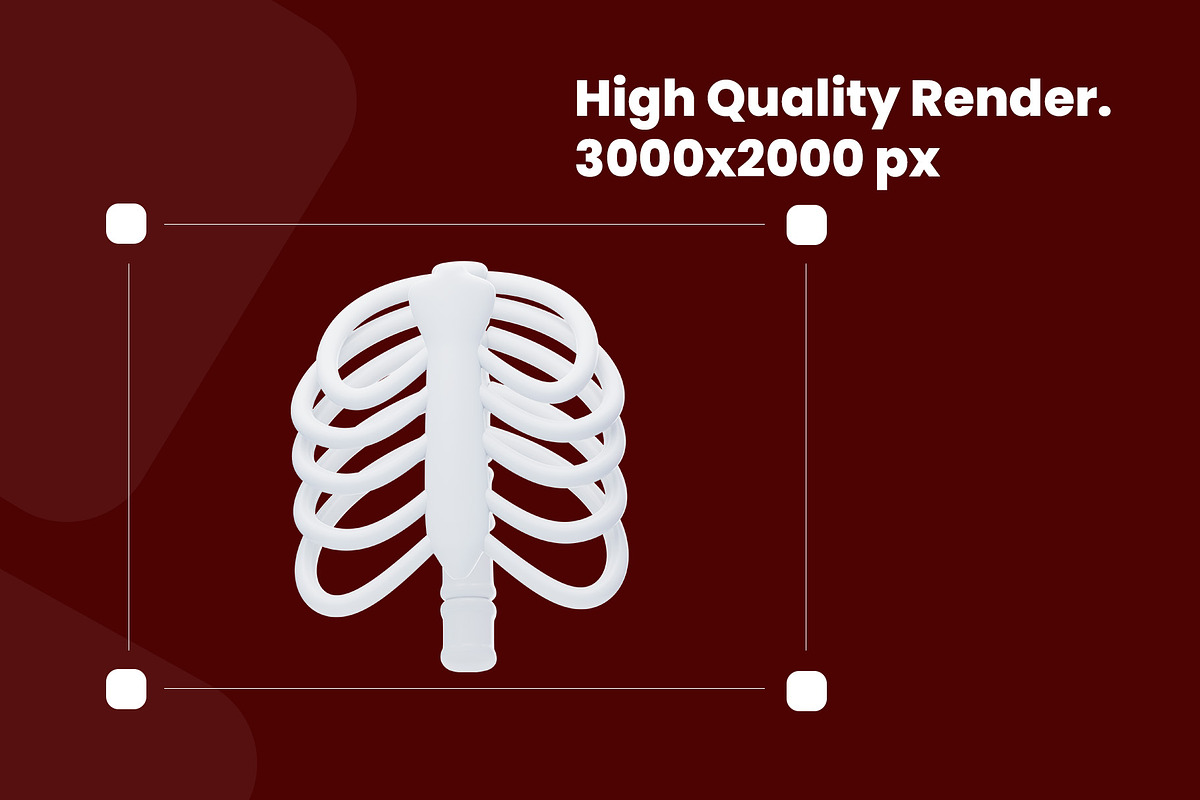 Human Organ Icon Pack, an Object 3D Model by novia99design (Photo 3 of 8)