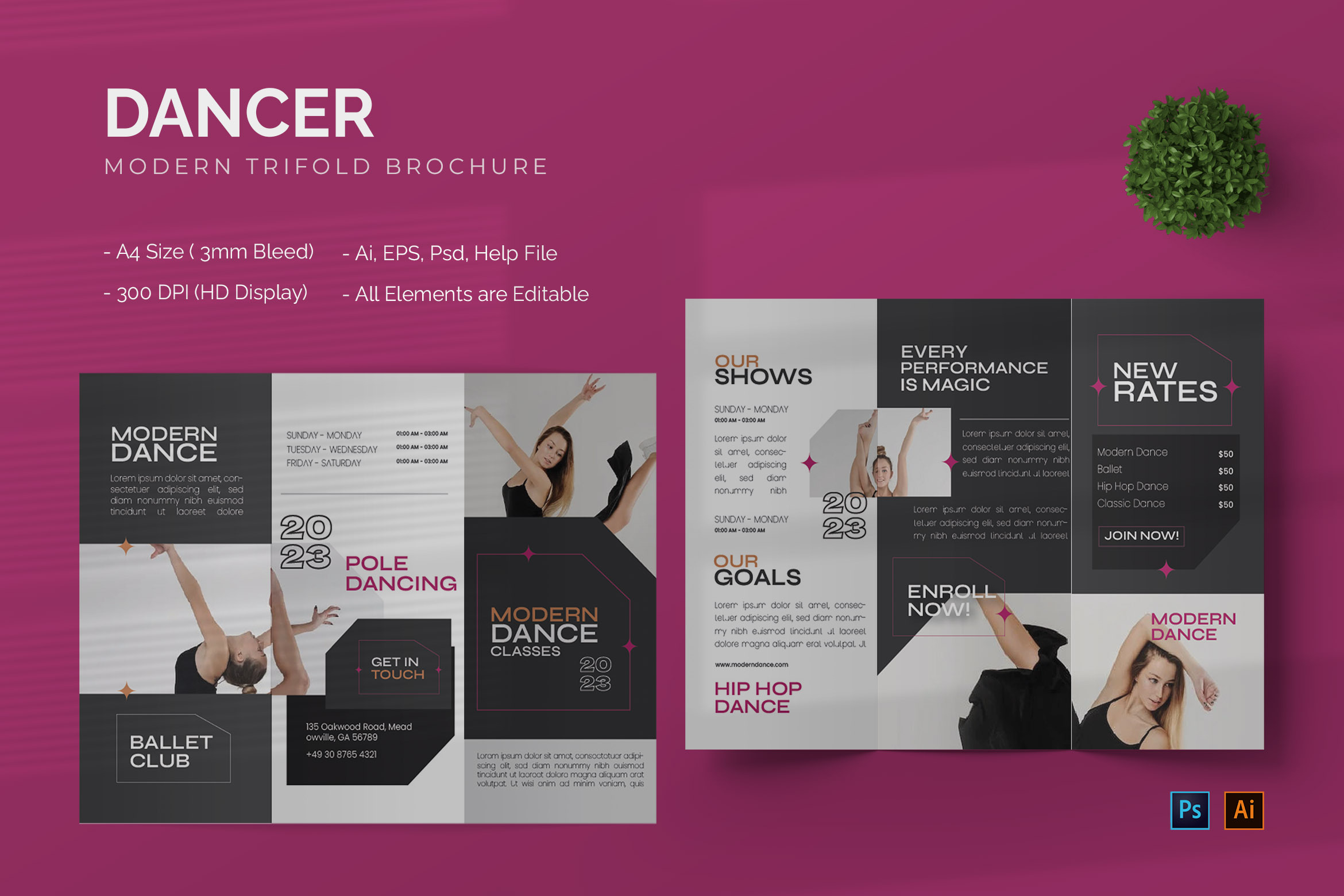 Dancer - Trifold Brochure, a Brochure Template by StreaksideStd