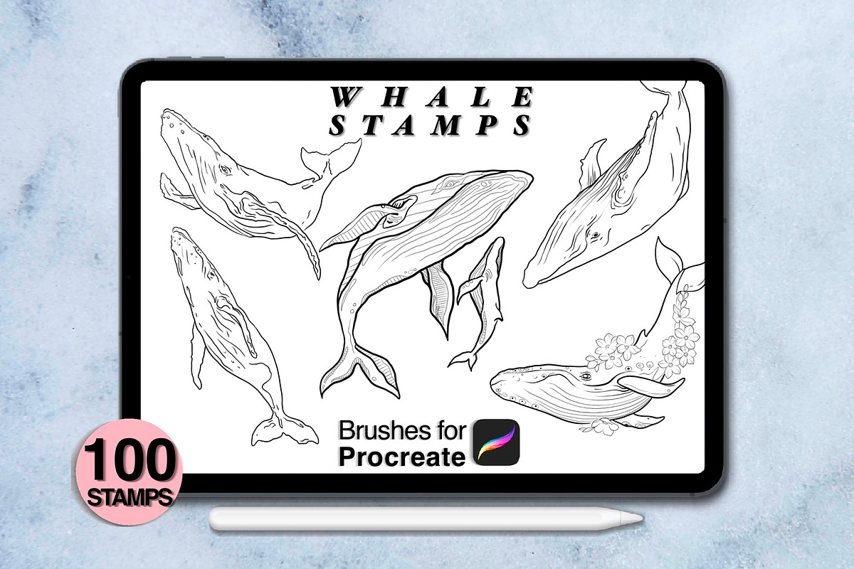 100 procreate whale stamps, a Brush Add-On by Arts For Peace (Photo 3 of 9)