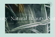 Nature Bundle-$4 for first 15 sales!, a Wallpaper Photo by Steven_Tinkler (Thumbnail 6 of 9)