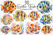 Watercolor Exotic Fish PNG Clipart, an Animal Illustration by RobertsArt (Thumbnail 1 of 7)
