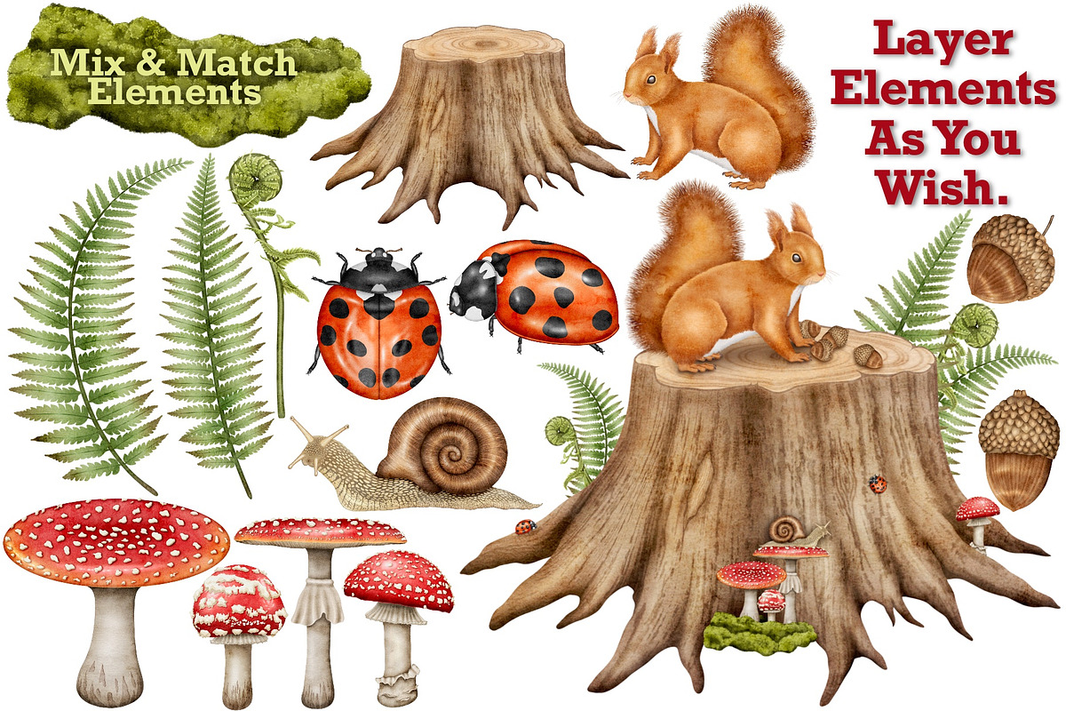 Forest Wonders Watercolor clipart, an Illustration by Happy Sloth Graphics (Photo 2 of 16)