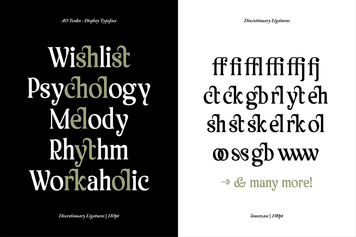 AO Tenko - Display Typeface, a Serif Font by OwunStudio (Photo 9 of 15)