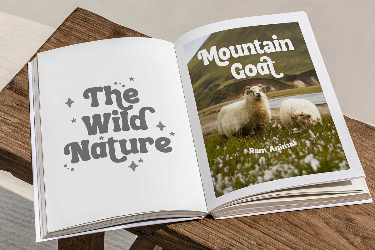 Renila - Retro Bold, a Font by Novitype (Photo 6 of 13)