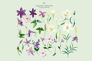 Lilies & Clematis Illustrations, an Illustration by SunnJaneArt (Thumbnail 2 of 13)