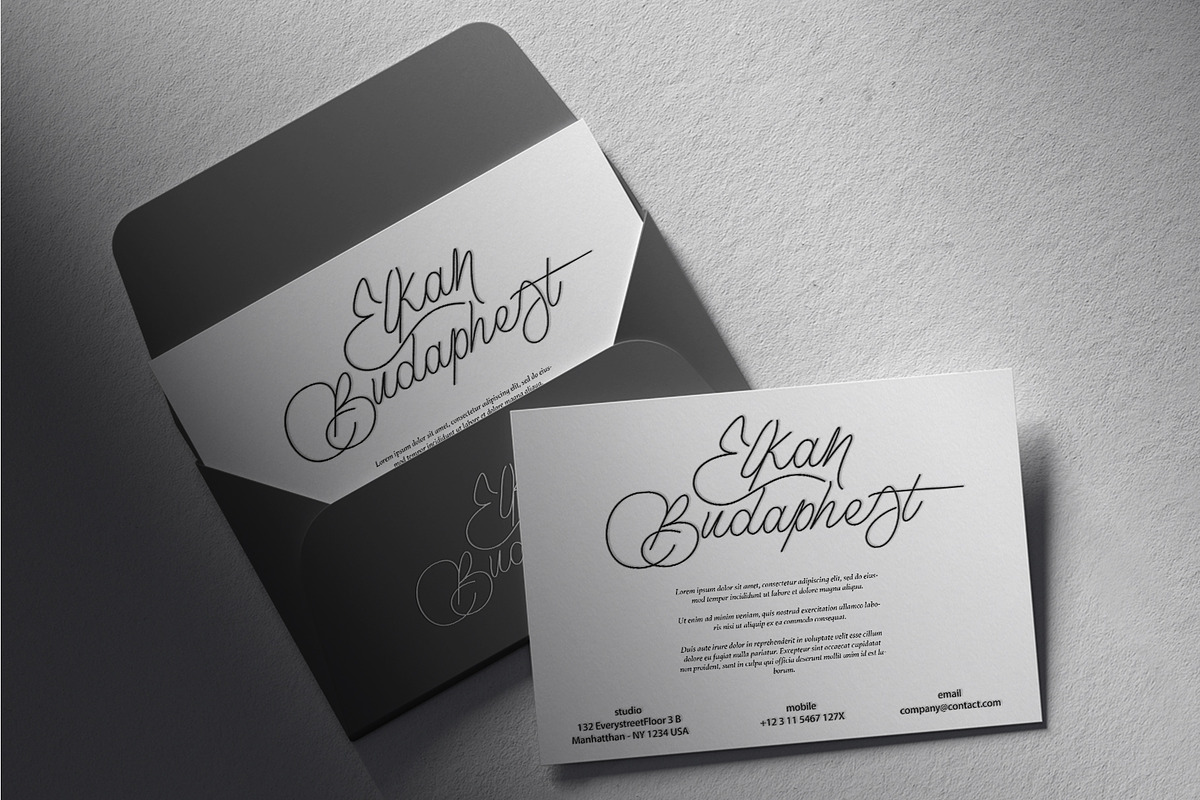 Nebuliqua - Stylish Signature Font, a Script Font by Aksapix Studio (Photo 8 of 11)