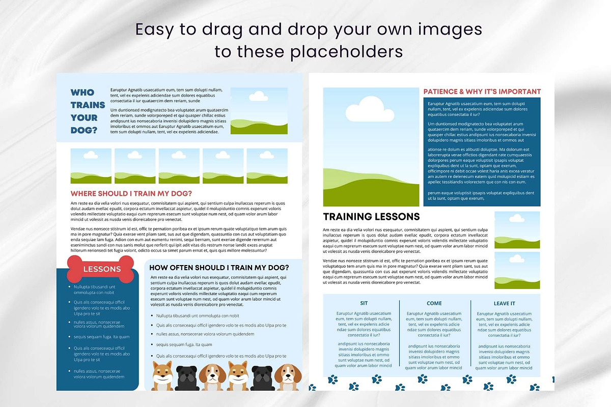 Canva Newsletter Template Dogs Pets, an Email Template by PixelCraft (Photo 11 of 15)