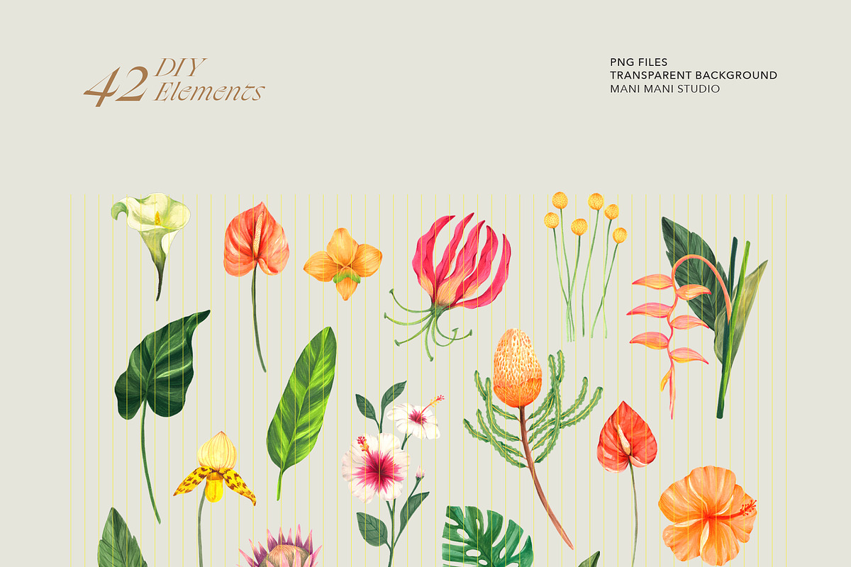 Tropical Summer Flowers, an Illustration by Manimanisa (Photo 6 of 9)