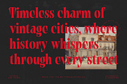 Tieldsa Bold Serif Display Font, a Serif Font by timelesstype.co (Thumbnail 15 of 20)
