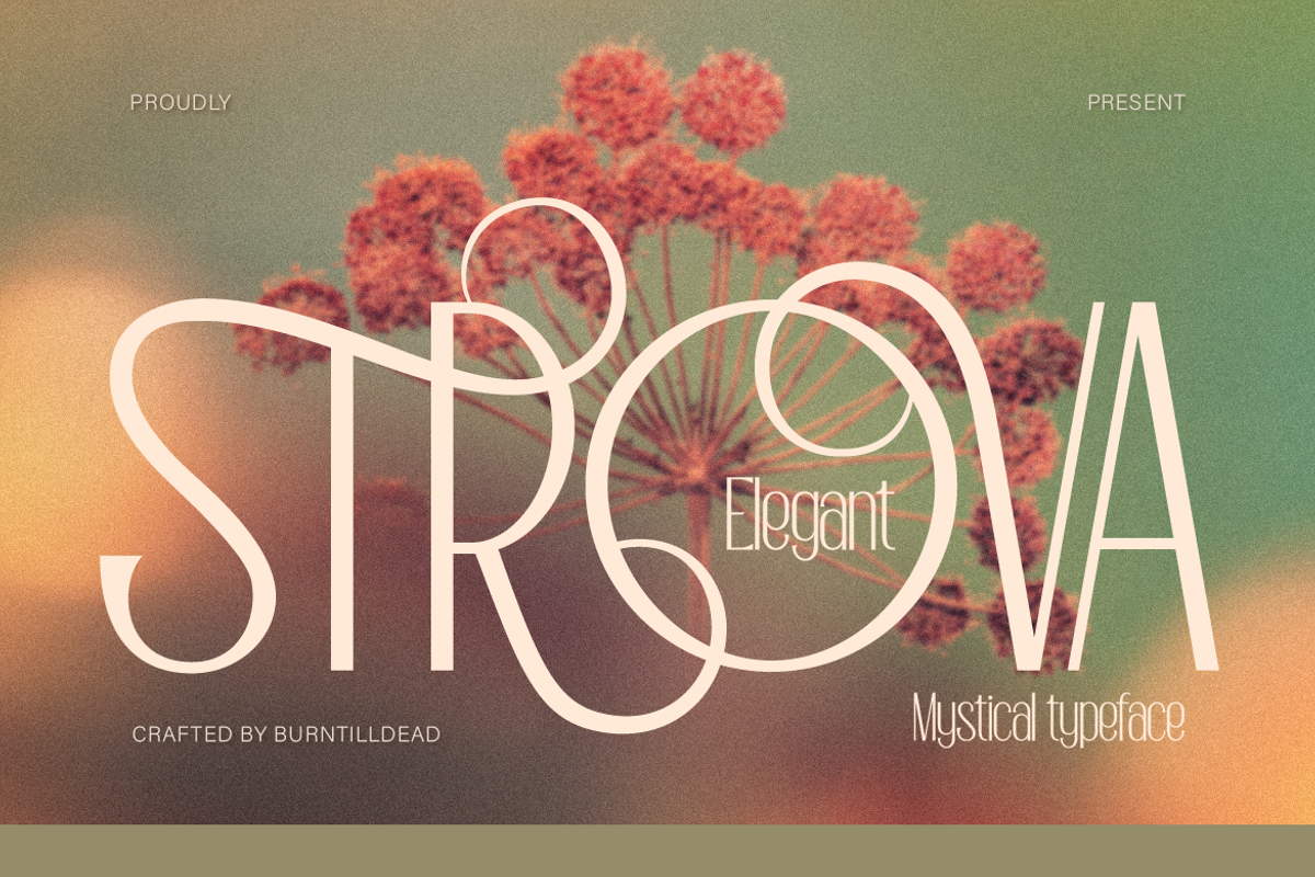 Strova, a Sans Serif Font by Burntilldead (Photo 1 of 12)