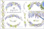 Wisteria - Design Pack, an Illustration by watercolorwild.graphics (Thumbnail 5 of 7)