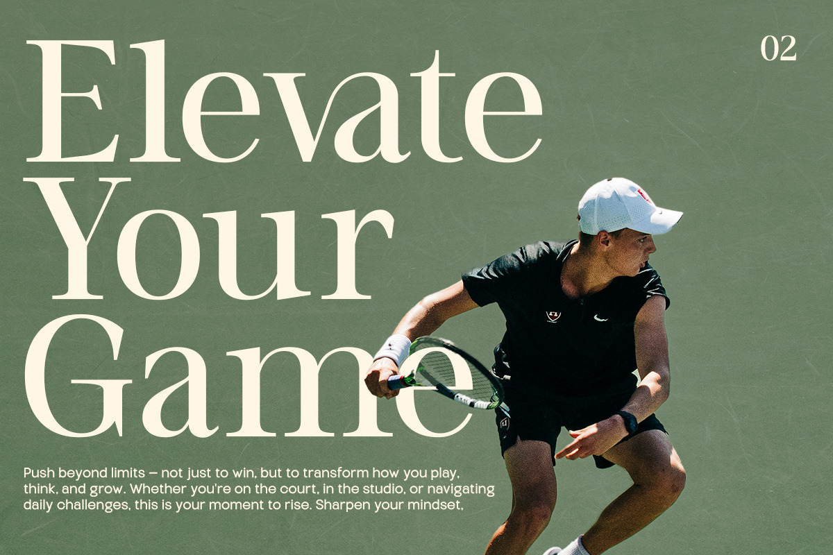 TT Vermolin — Modern Classy Serif, a Serif Font by truetype (Photo 3 of 15)