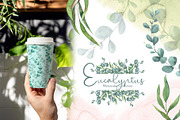 Watercolor Eucalyptus SET, a Decorative Illustration by TanataDesign (Thumbnail 7 of 16)