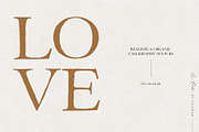 La Roche Font Duo, a Script Font by Calamar Studio (Thumbnail 9 of 19)