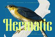 Hermatic - Modern Serif Display, a Script Font by timelesstype.co (Thumbnail 1 of 20)