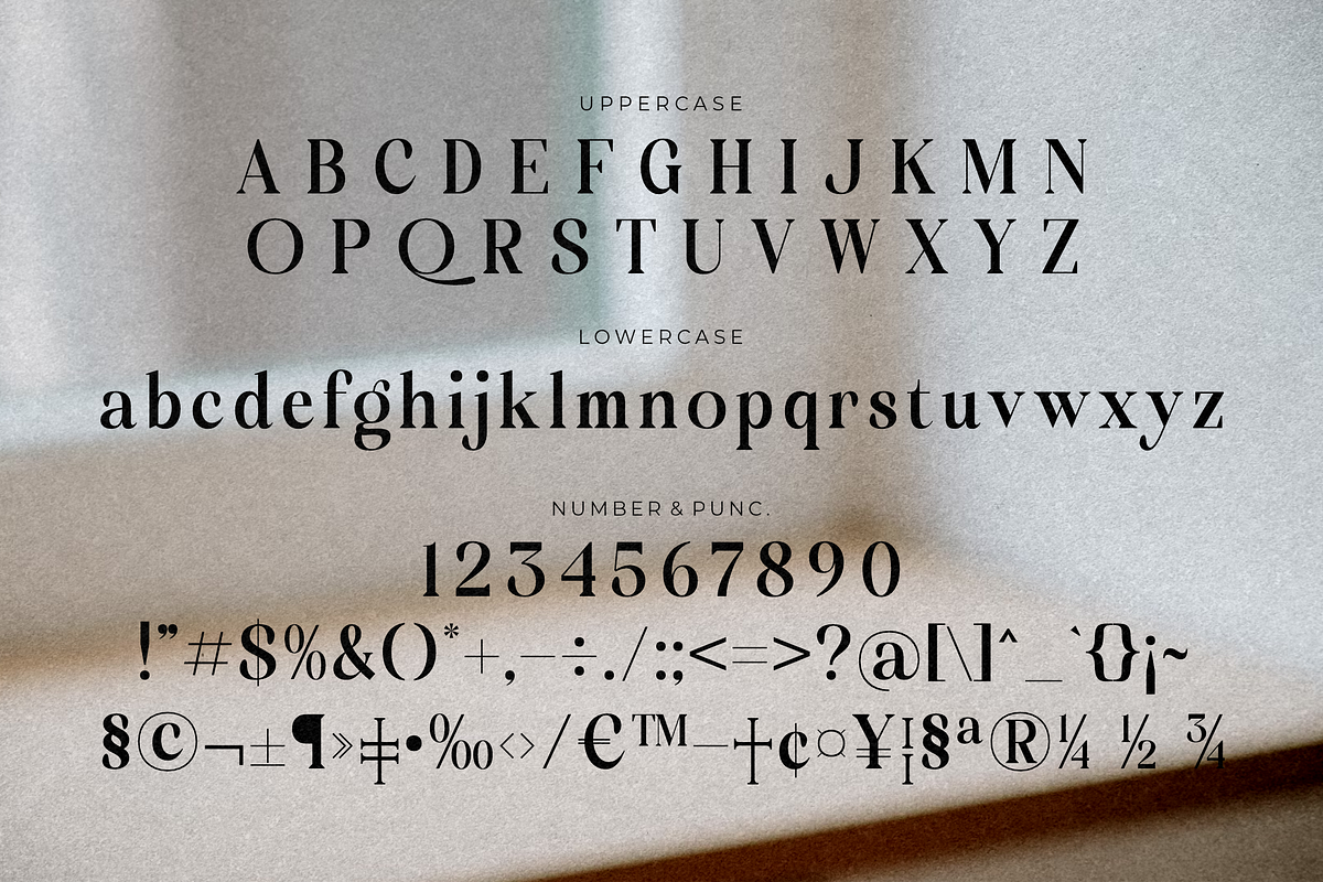 Molgiant Belliontera, a Serif Font by Storytype Studio (Photo 11 of 15)