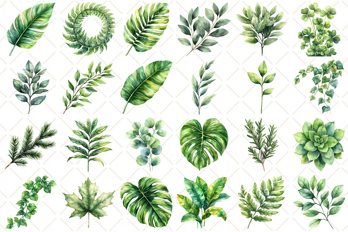 Watercolor Greenery Foliage Clipart, an Illustration by Black Bird Studio (Photo 2 of 5)