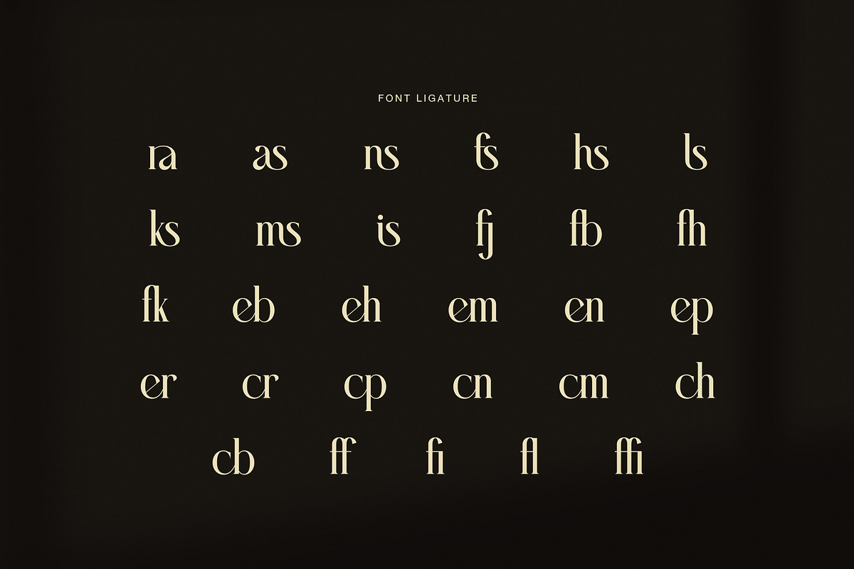 Garage Fashion Editorial Serif Font, a Serif Font by Graphicxell (Photo 8 of 8)